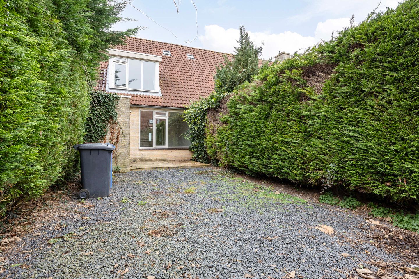 Foto 29 van Esdoorn 28