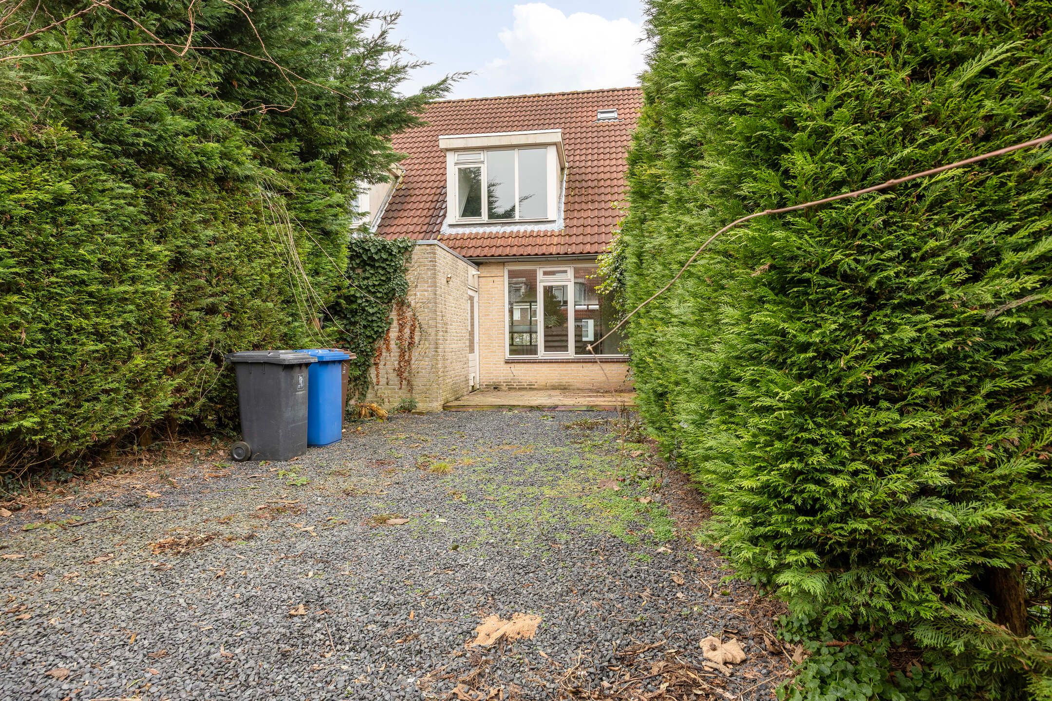 Foto 30 van Esdoorn 28