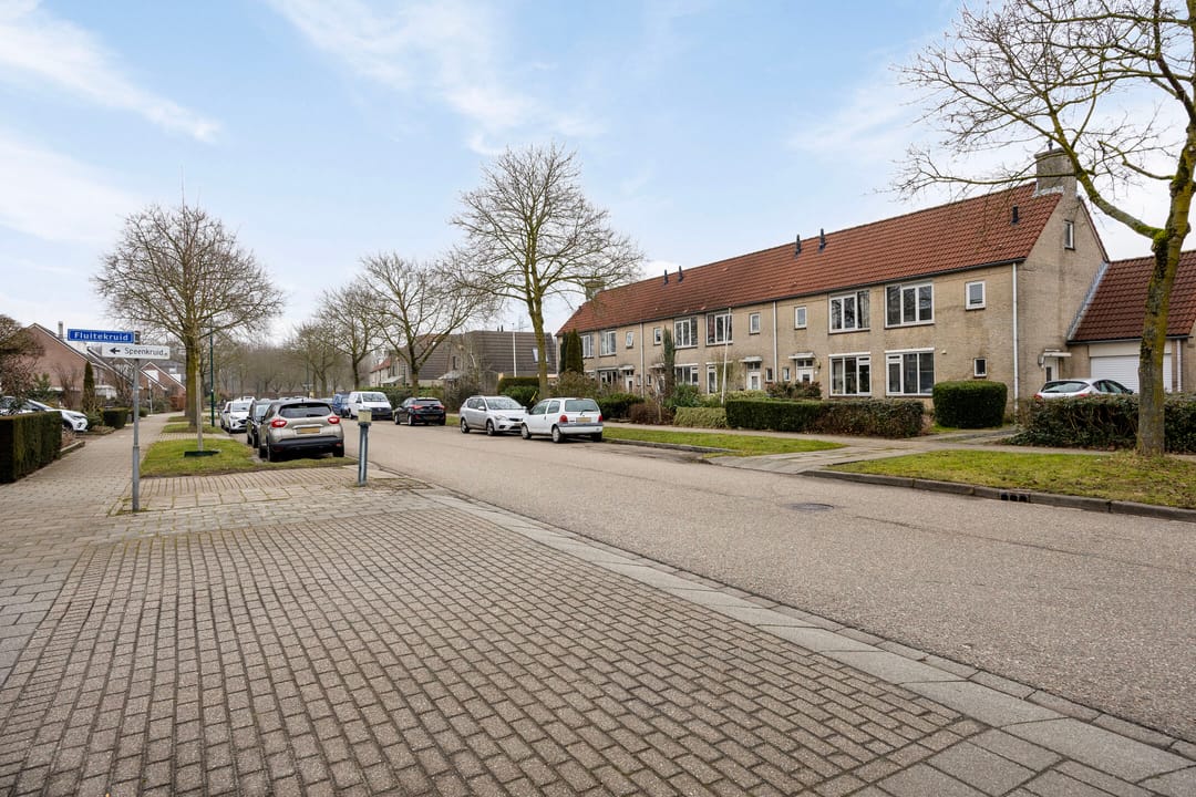 Foto 31 van Esdoorn 28