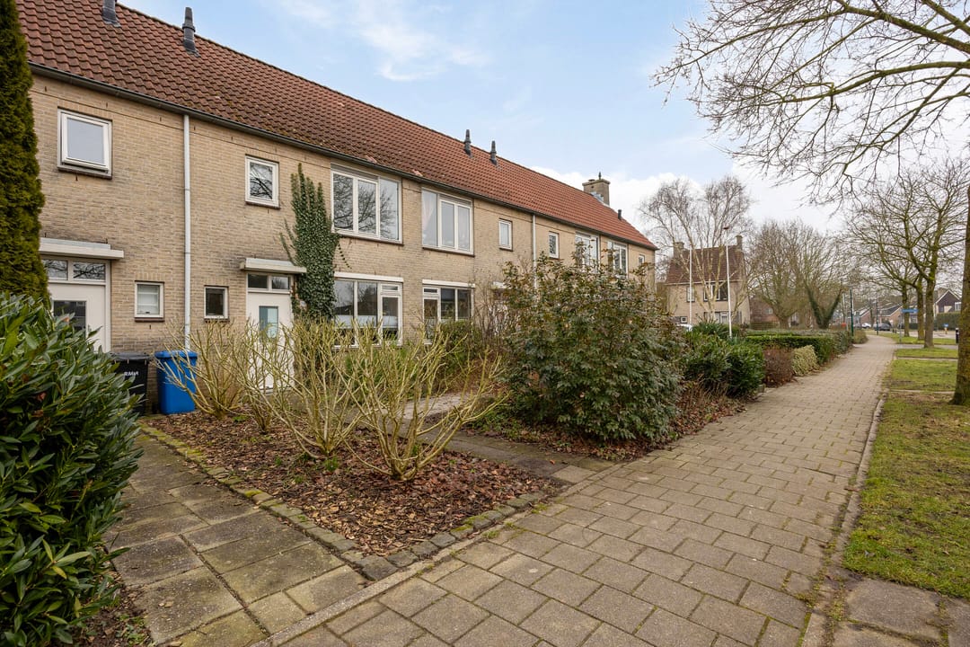 Foto 32 van Esdoorn 28