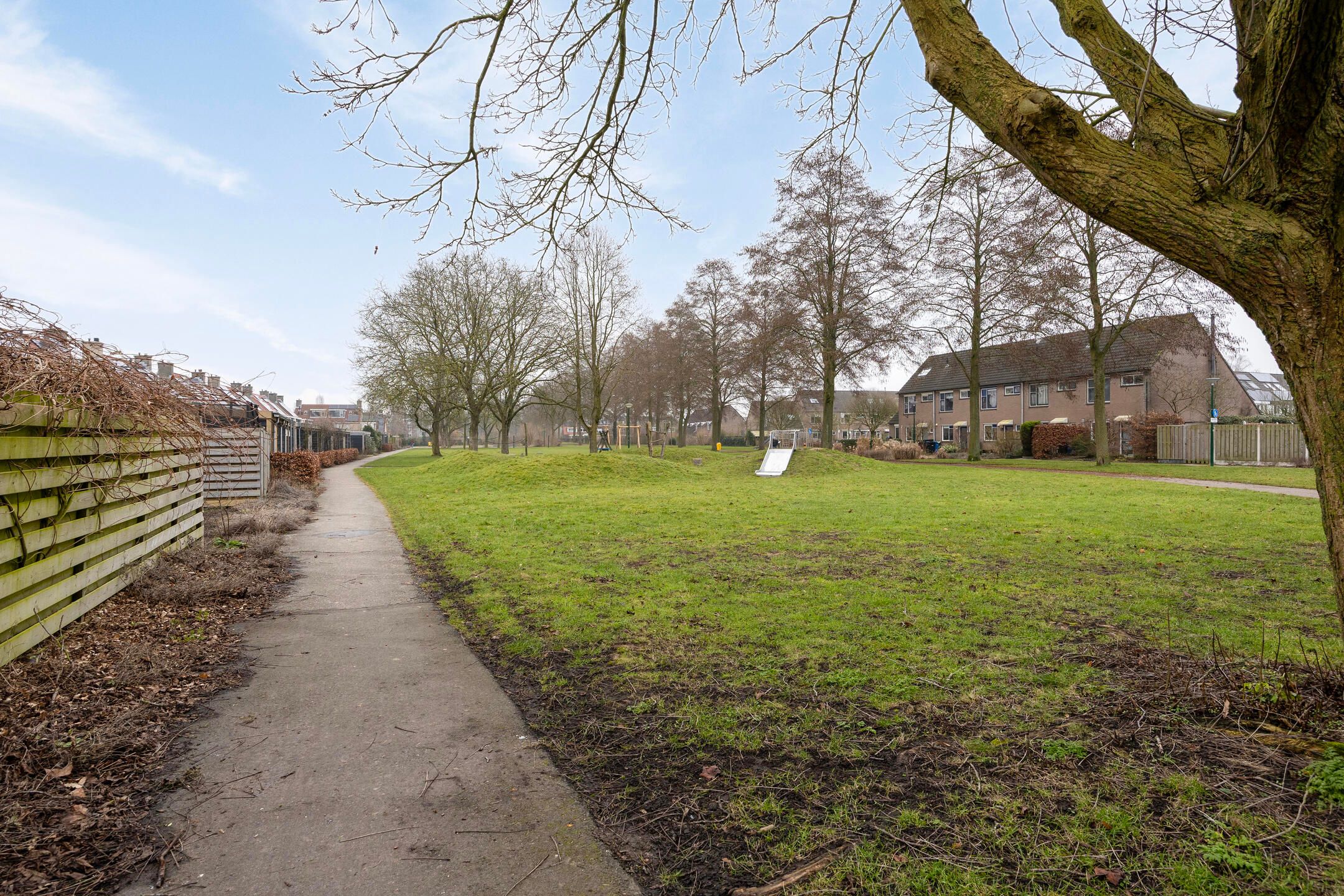 Foto 33 van Esdoorn 28