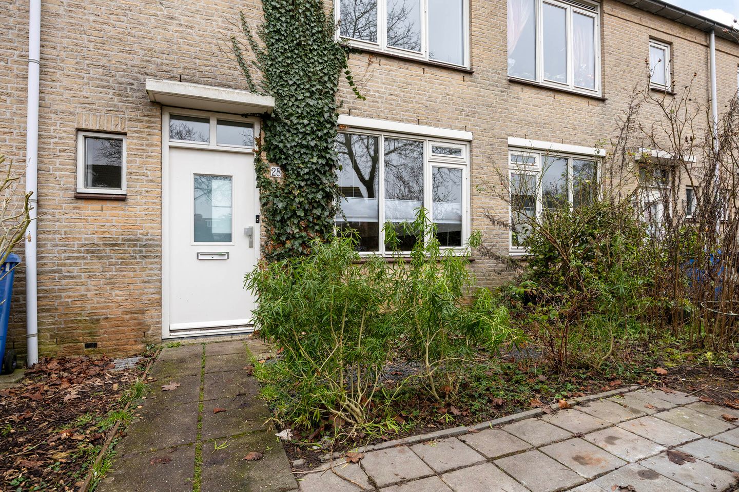 Foto 34 van Esdoorn 28