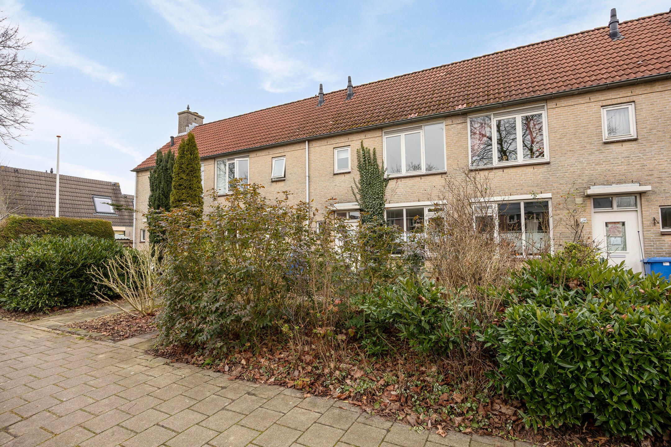 Foto 36 van Esdoorn 28