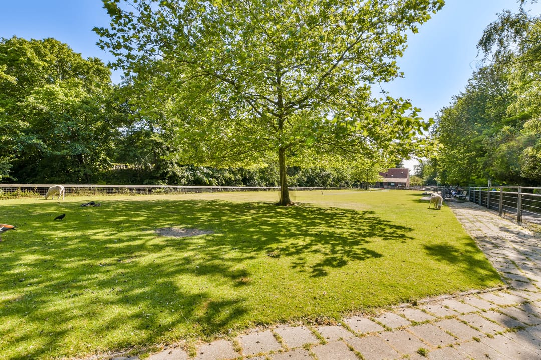 Photo 28 of Ligusterstraat 103