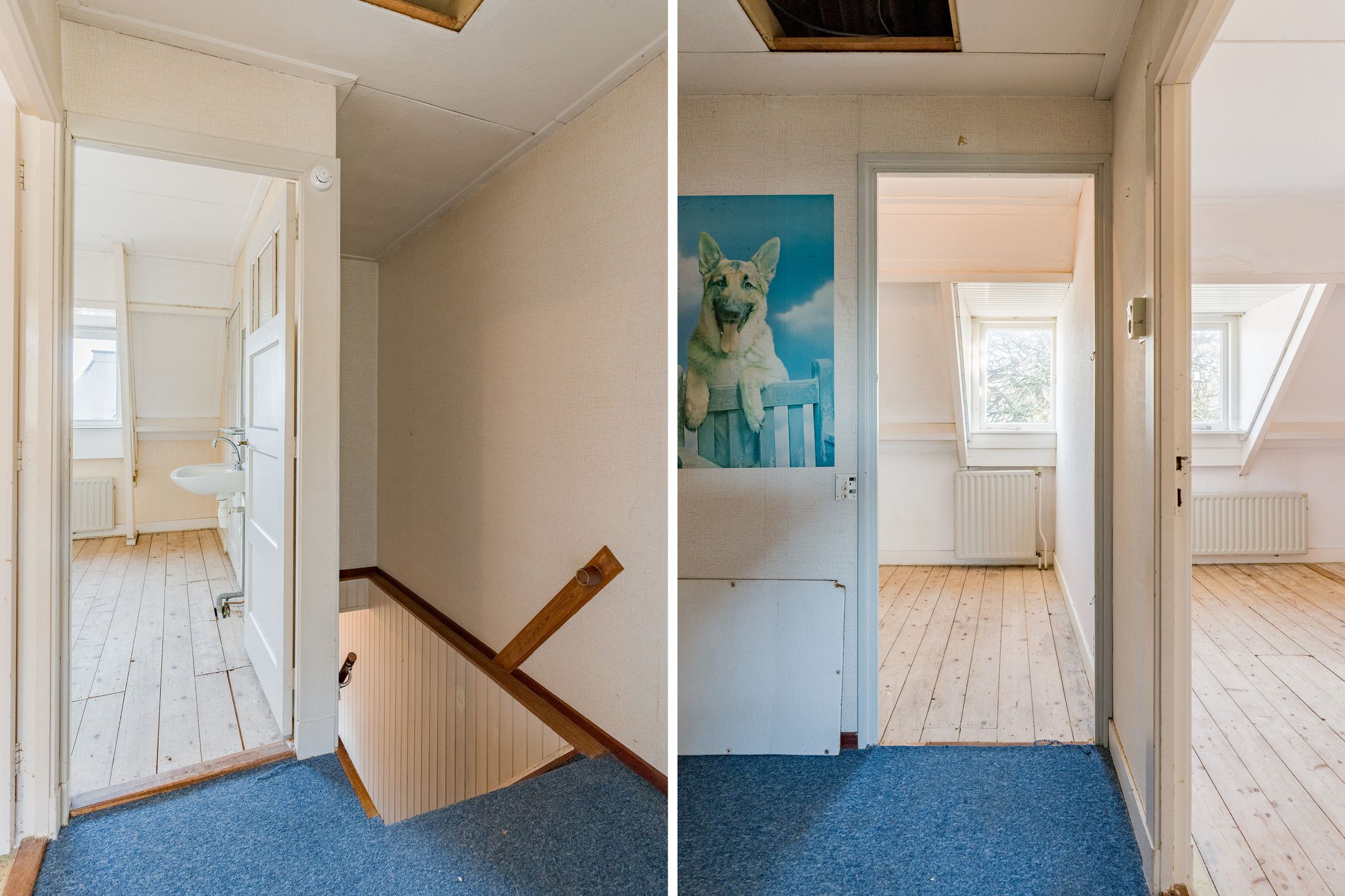 Foto 21 van Douzastraat 12