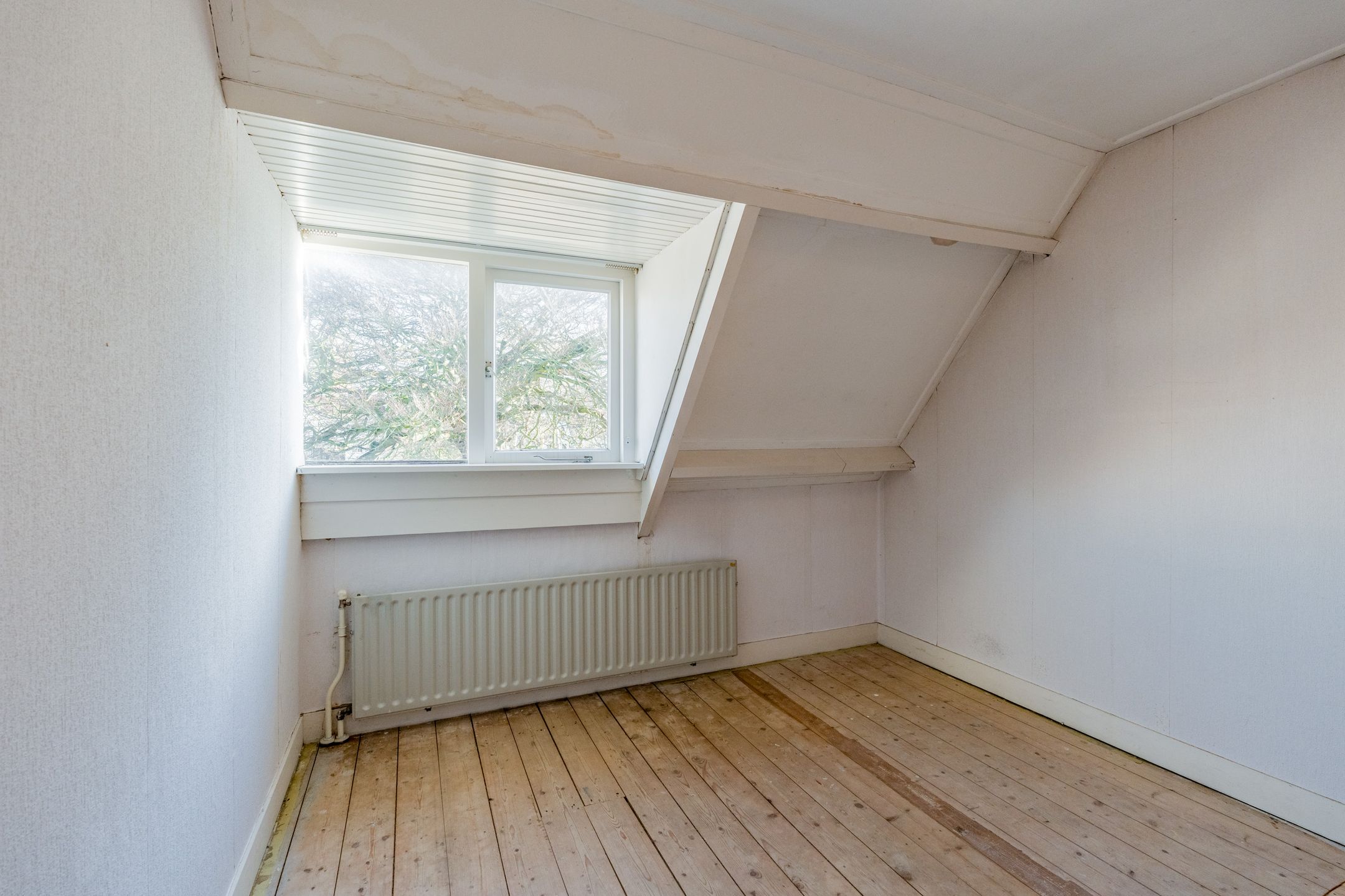 Foto 24 van Douzastraat 12