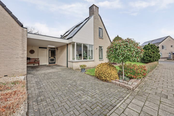 Photo 4 of Joke Smitlanden 3