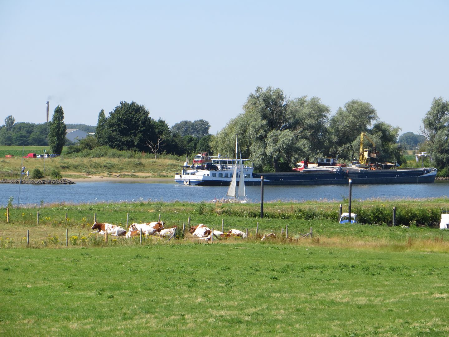 Foto 44 van Baselaarstraat 6