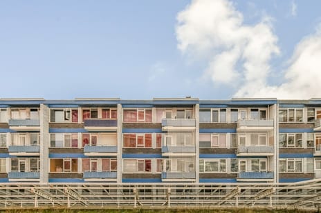 Liesveld 87 tertiary image