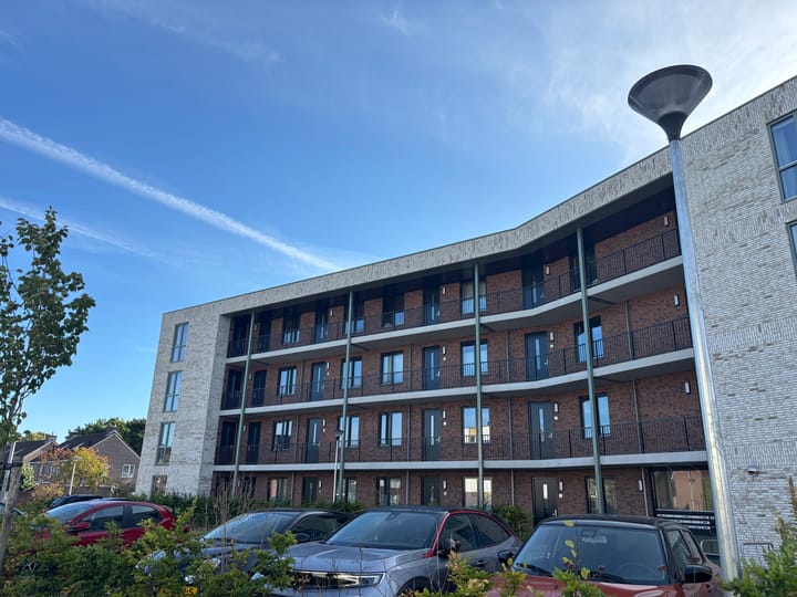 Foto 3 van Ierse heide 27