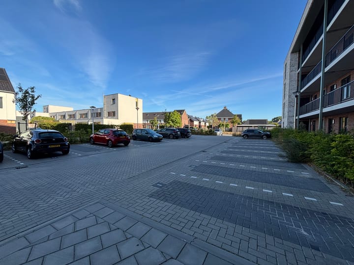 Foto 4 van Ierse heide 27