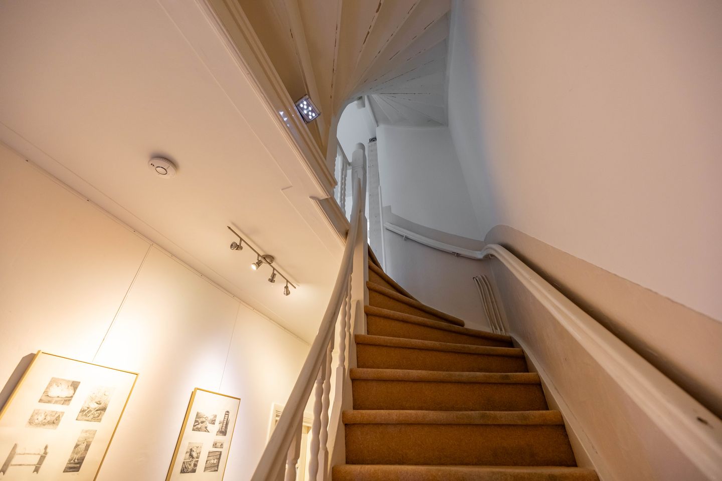 Photo 20 of Petrus Campersingel 249