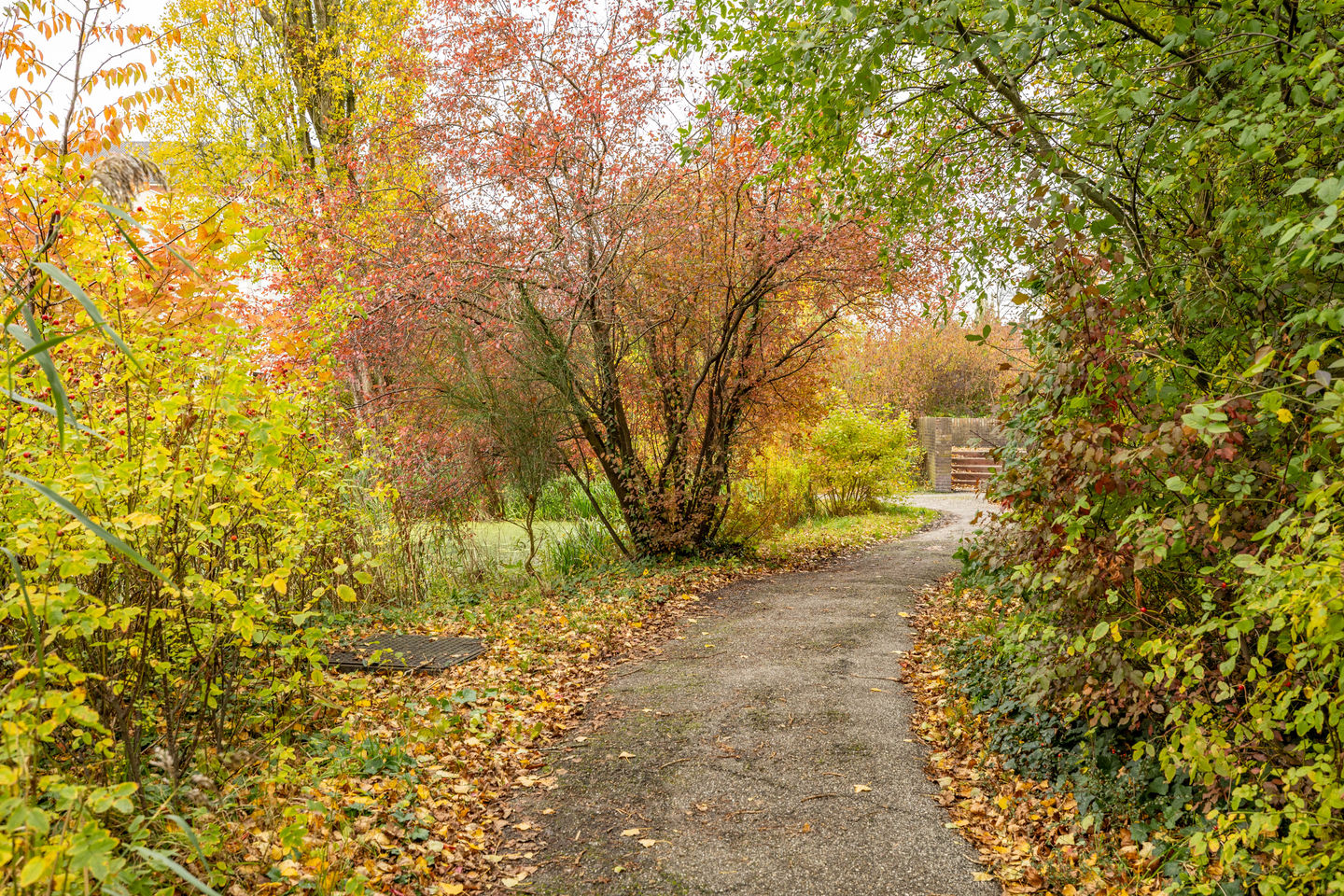 Photo 59 of Petrus Campersingel 249