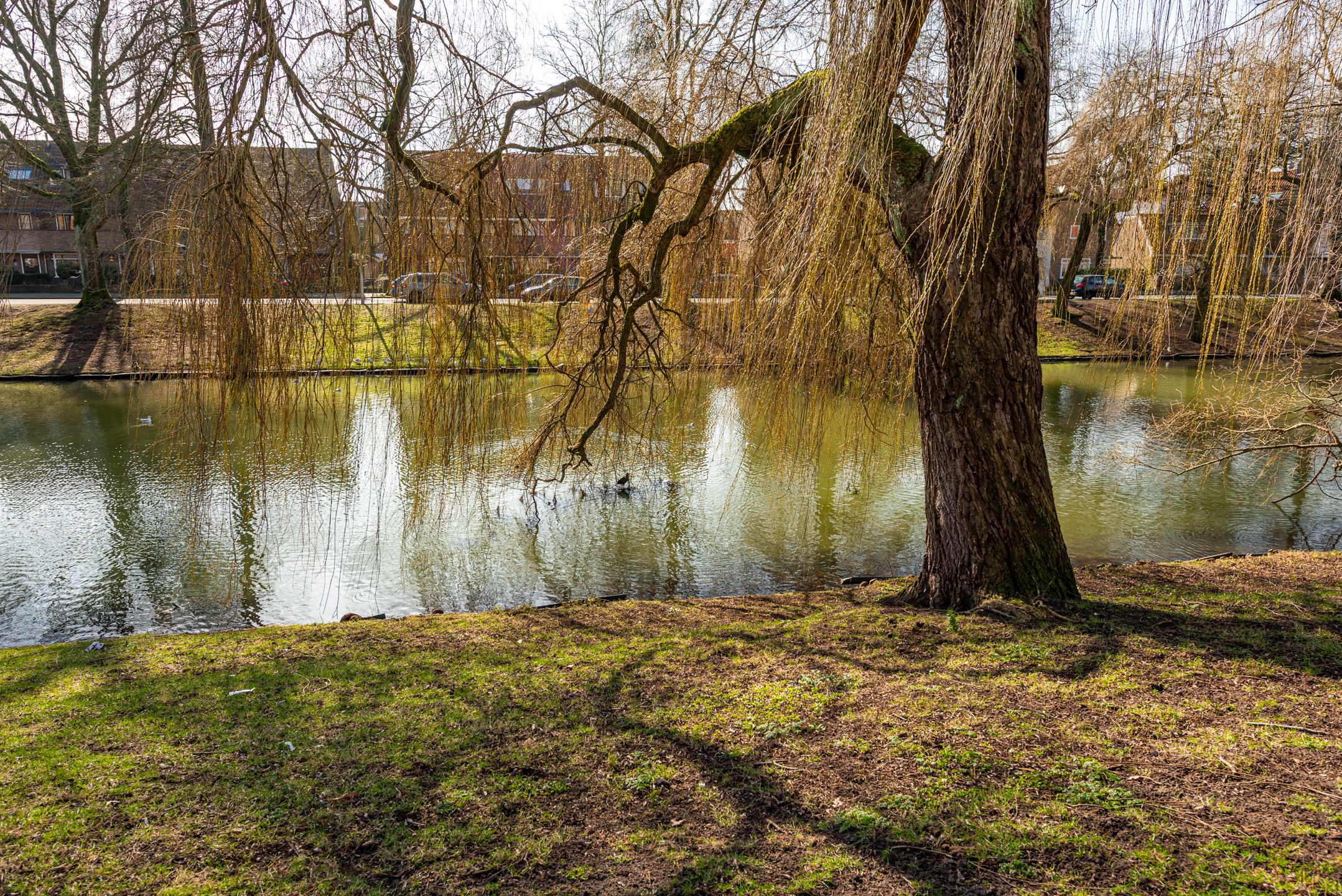 Foto 33 van Jupiterstraat 8