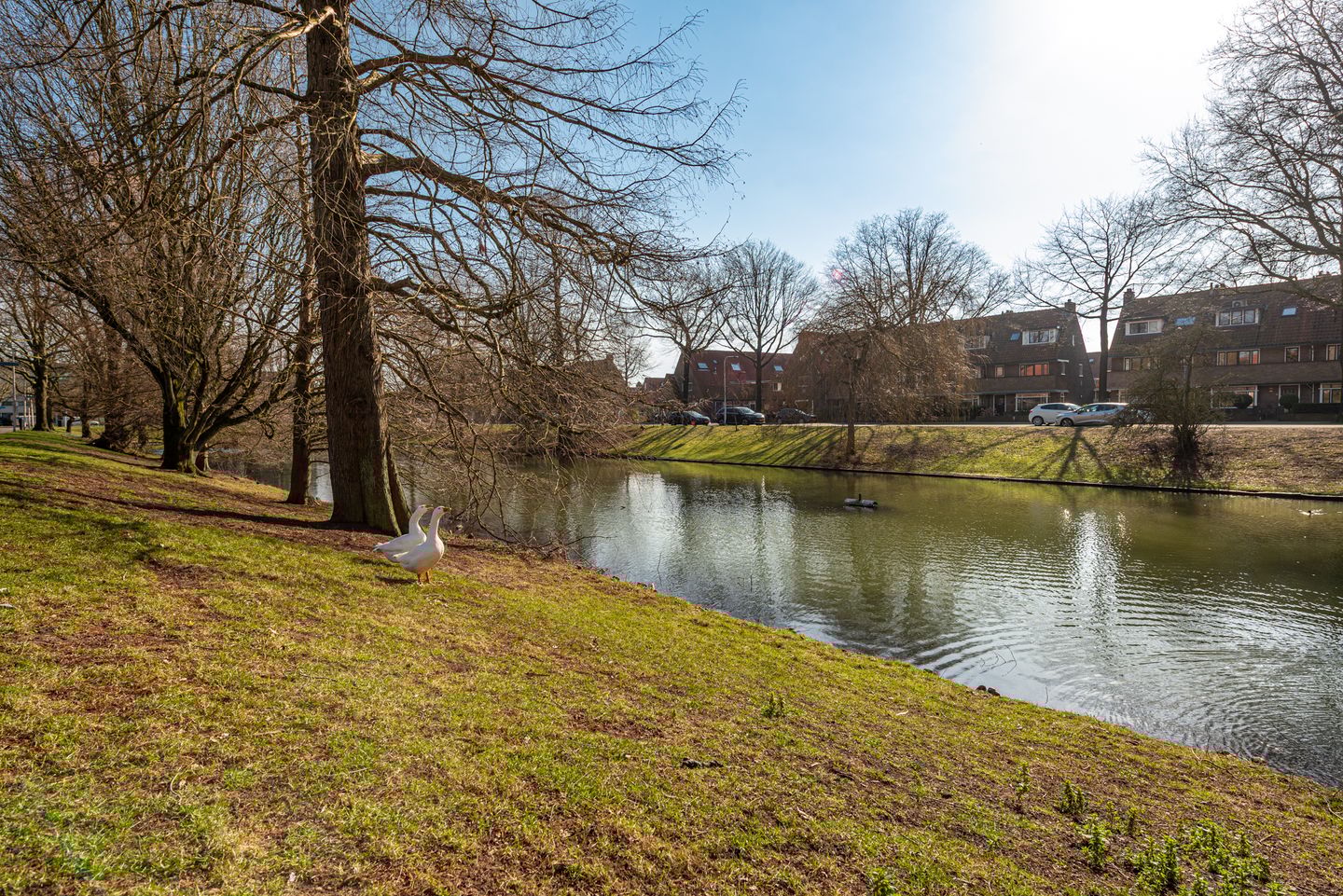 Foto 35 van Jupiterstraat 8