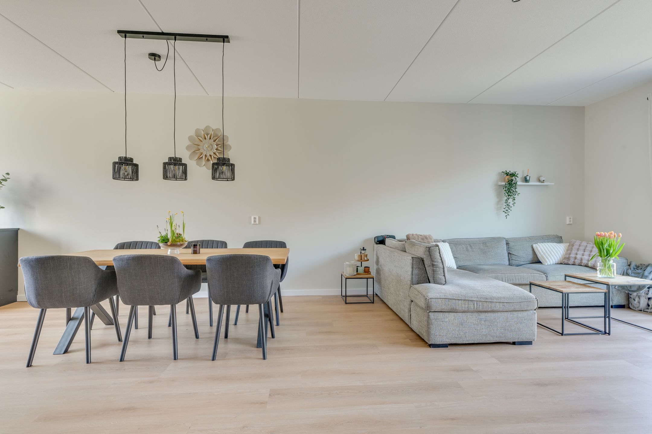 Foto 12 van Dubbelspoor 2-D