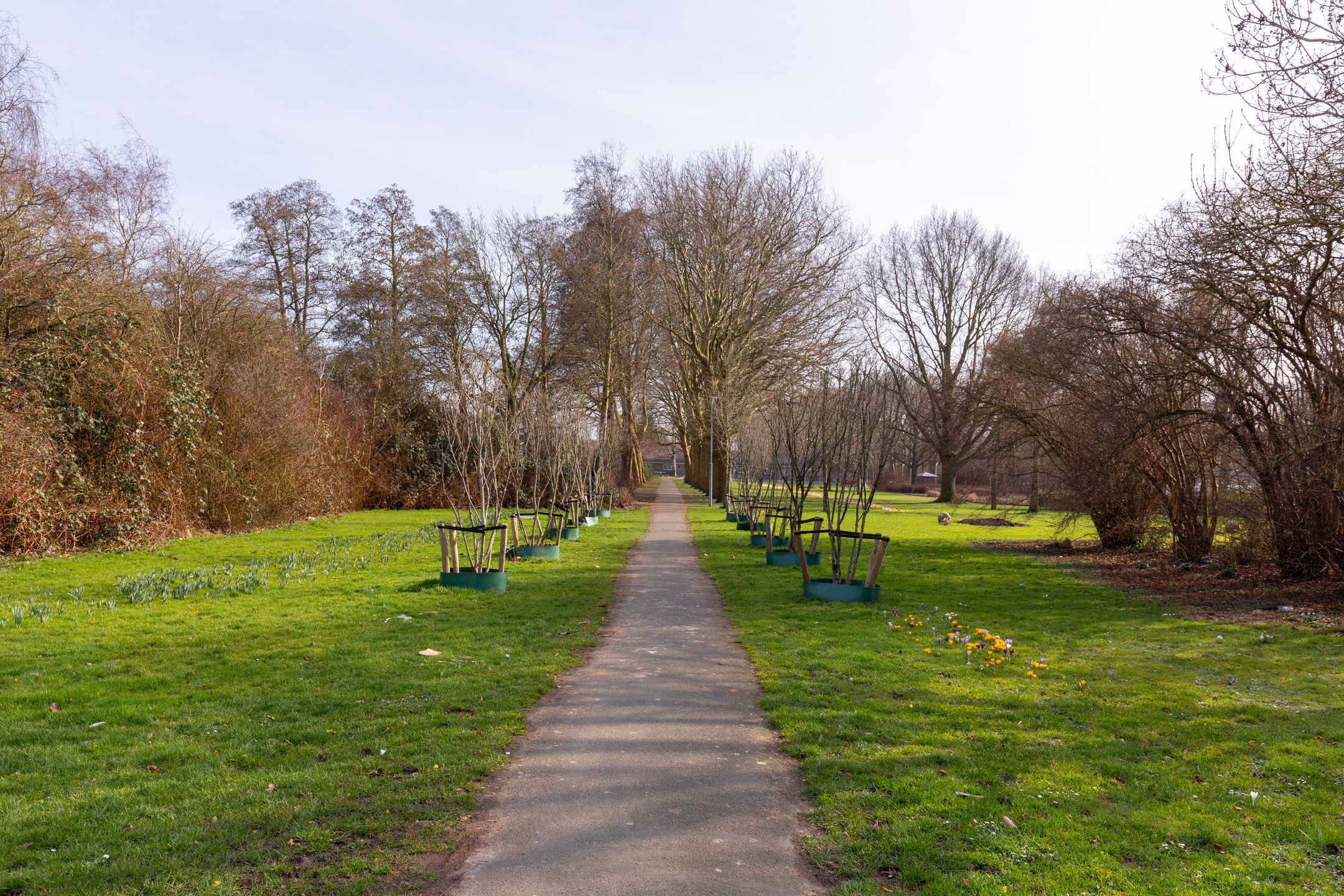 Foto 27 van Marialaan 99