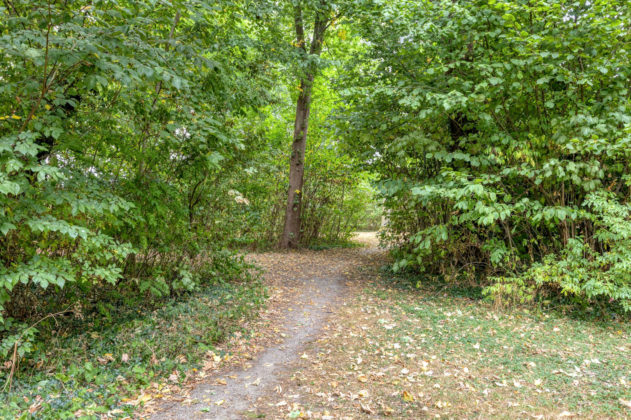 Foto 48 van Karperlaan 10