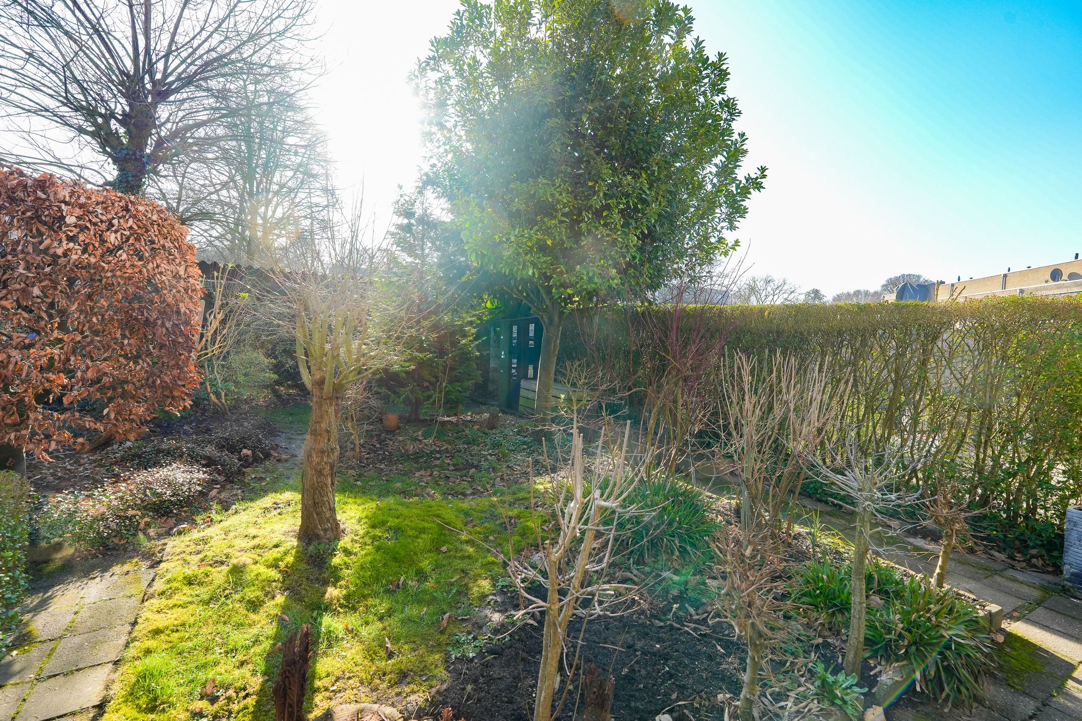 Foto 30 van Tolhuis 3309