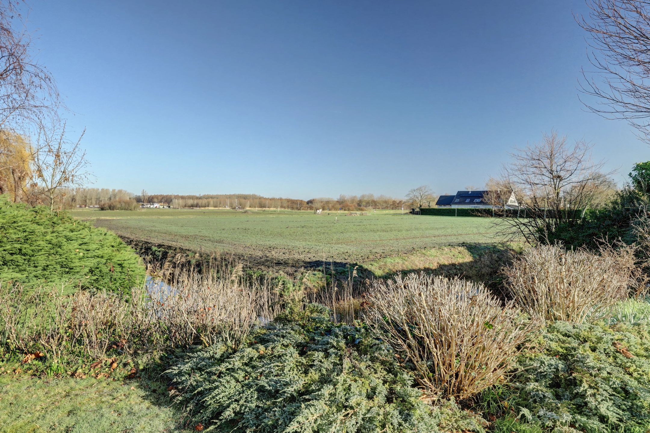 Foto 45 van Montanusstraat 2