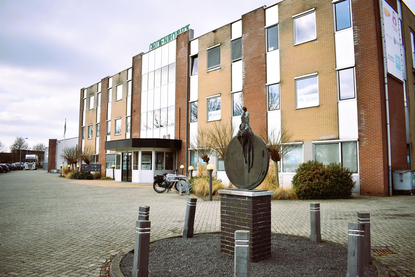 Bekijk foto 1 van Koriander 6-30