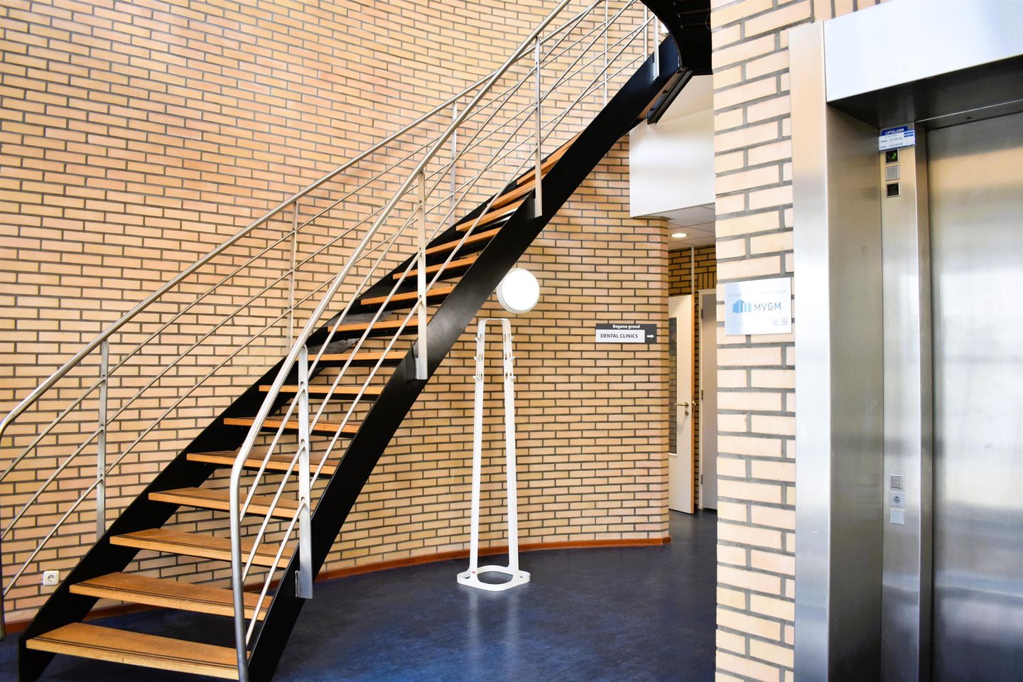 Bekijk foto 4 van Koriander 6-30