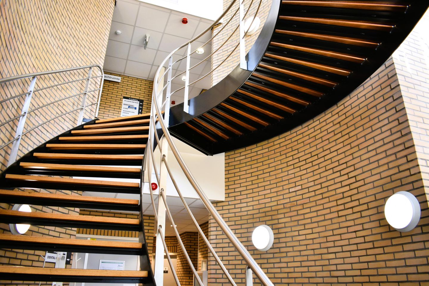 Bekijk foto 5 van Koriander 6-30