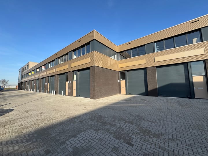 Reedijk 8-F24