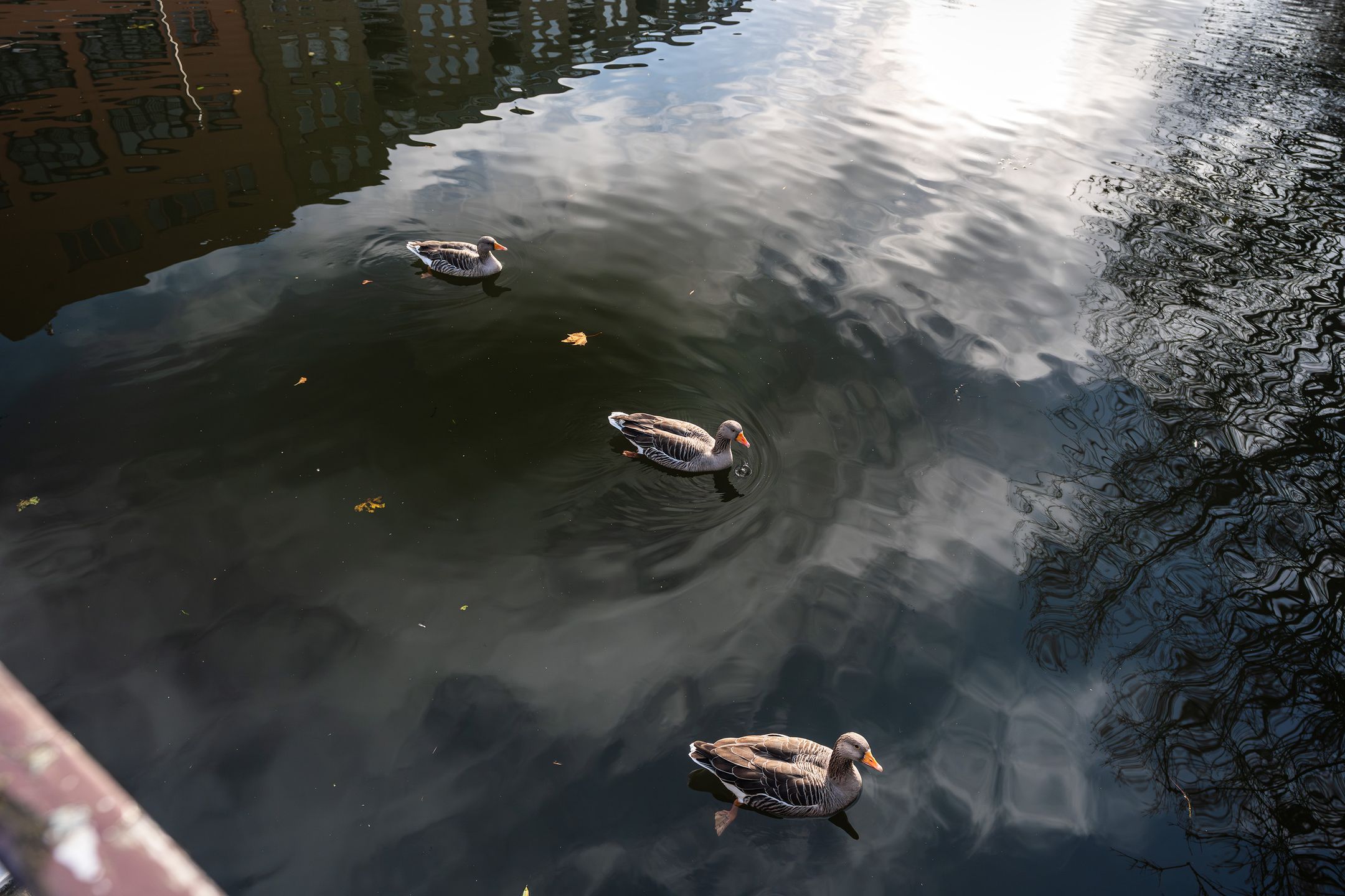 Foto 36 van Boezemweg 158-A