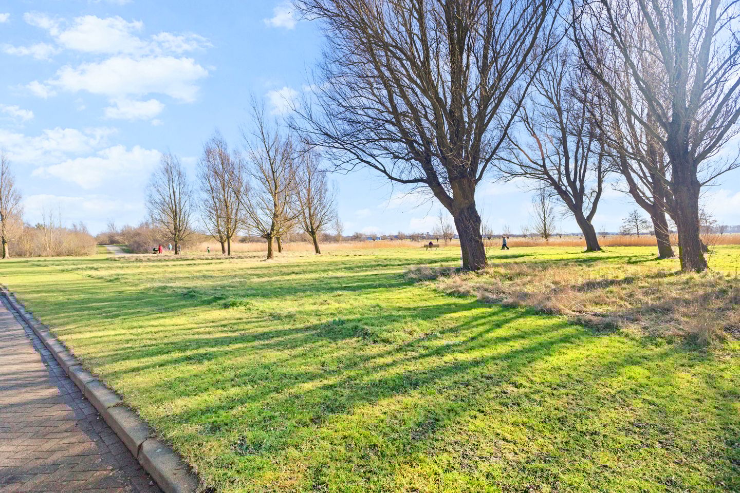 Foto 4 van Jan Peereboomstraat 29