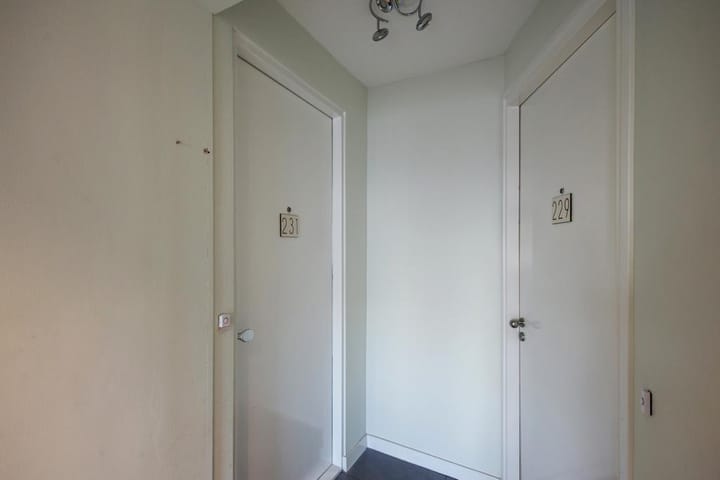 Foto 4 van Junostraat 231