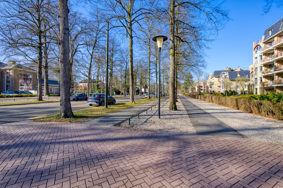 Foto 22 van Loolaan 376