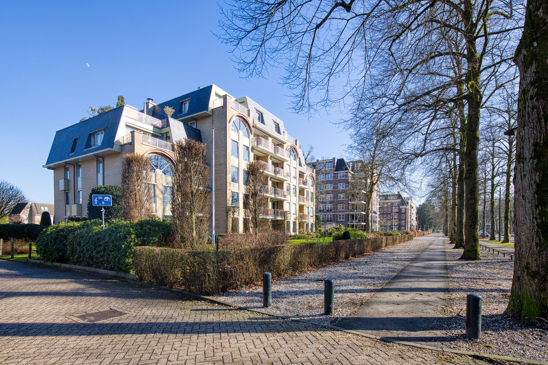 Foto 18 van Loolaan 376