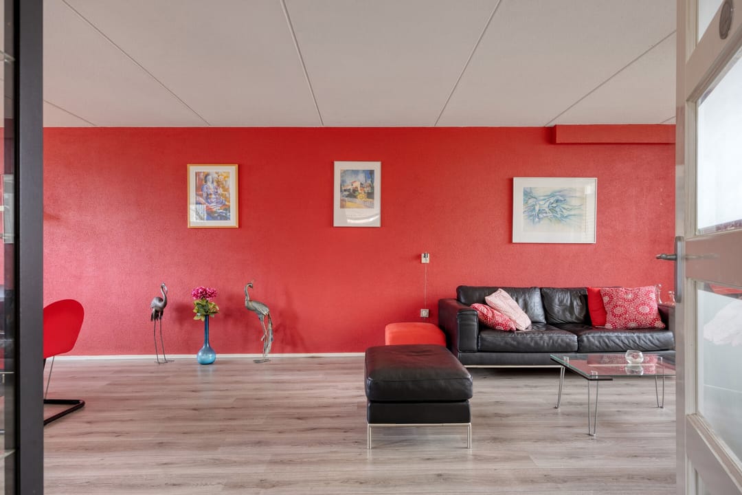 Photo 13 of Goudhaver 79