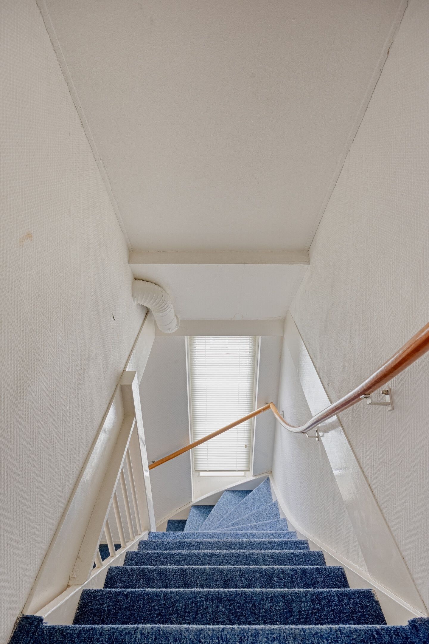 Photo 39 of Goudhaver 79