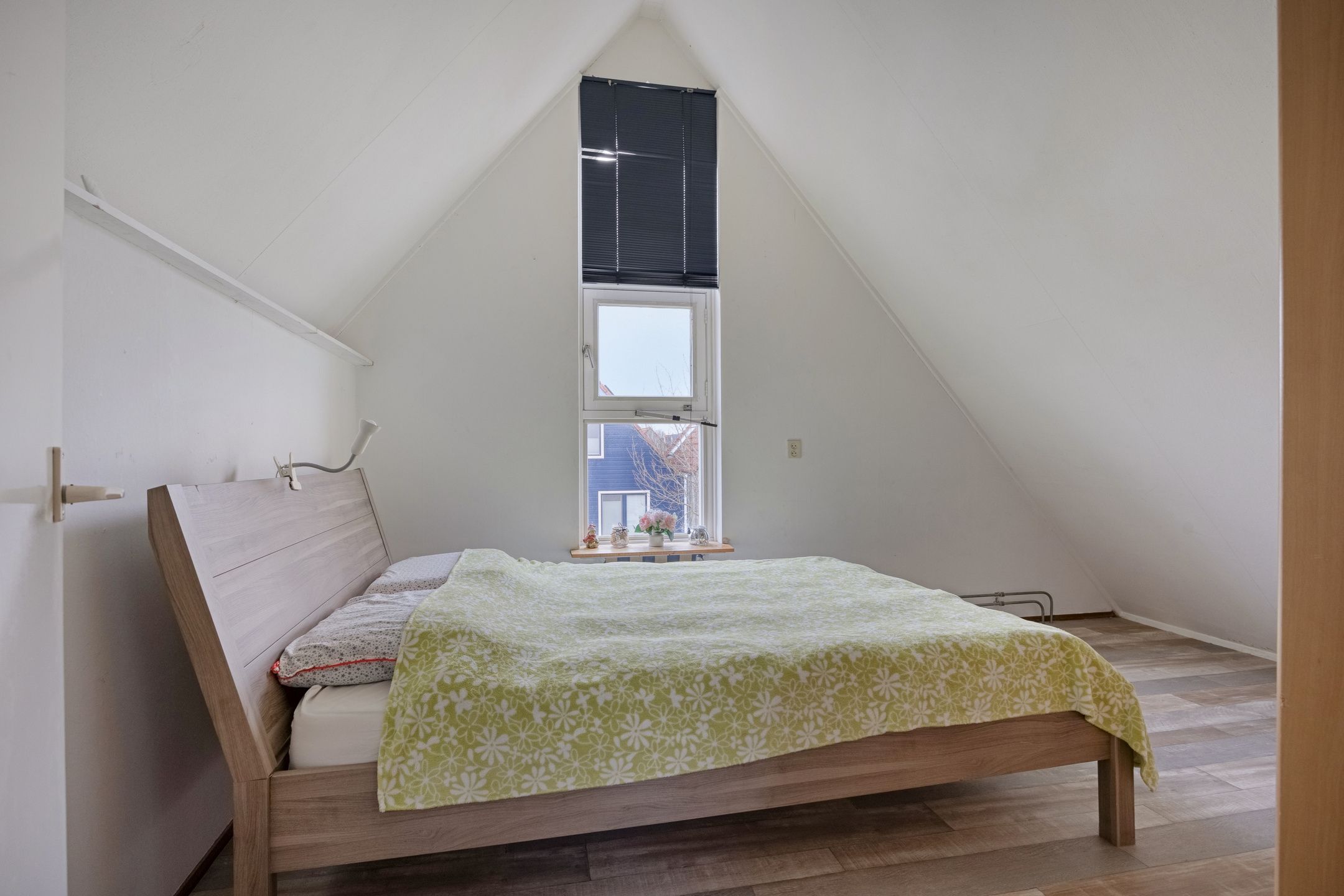 Photo 42 of Goudhaver 79