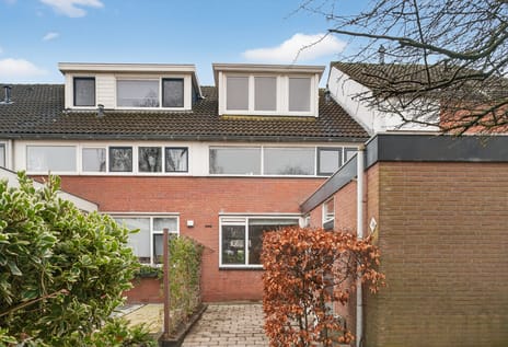 De Wijzend thumbnail