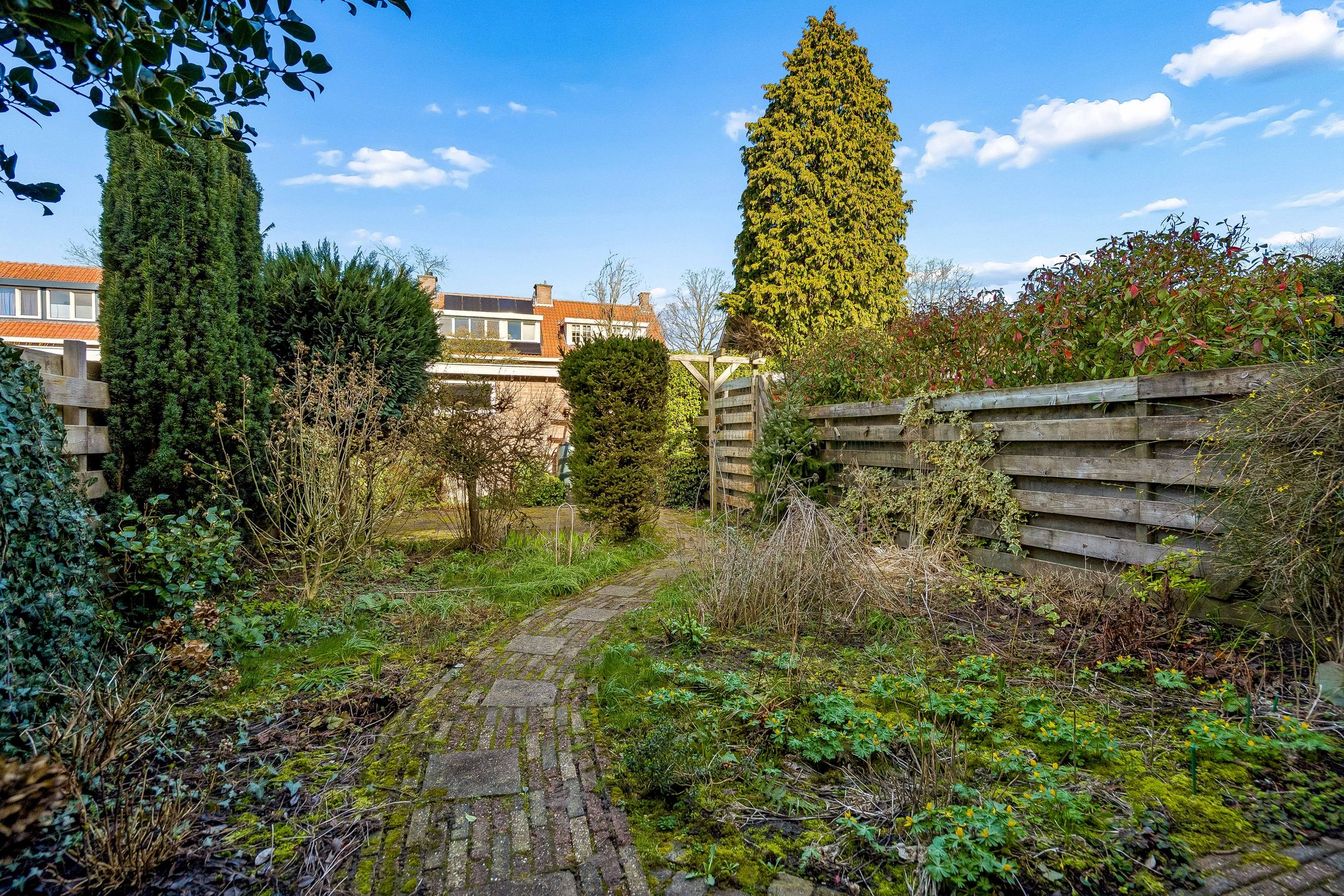 Foto 3 van Joh de Kruijfstraat 6