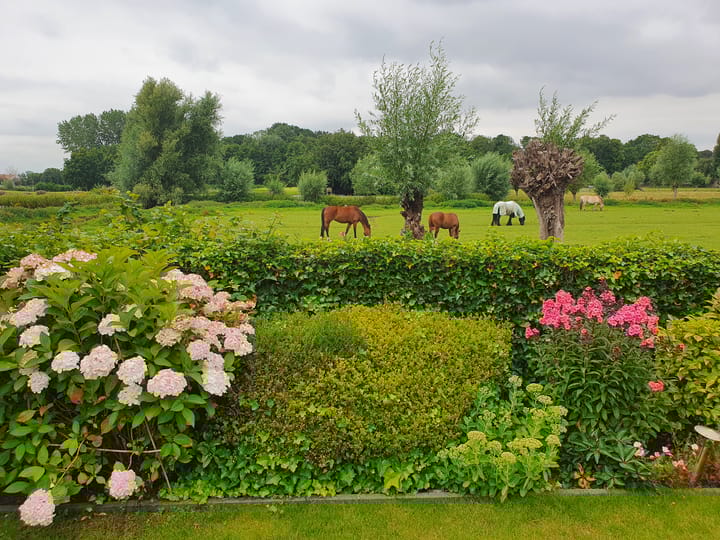 Foto 4 van Meidoornlaan 29