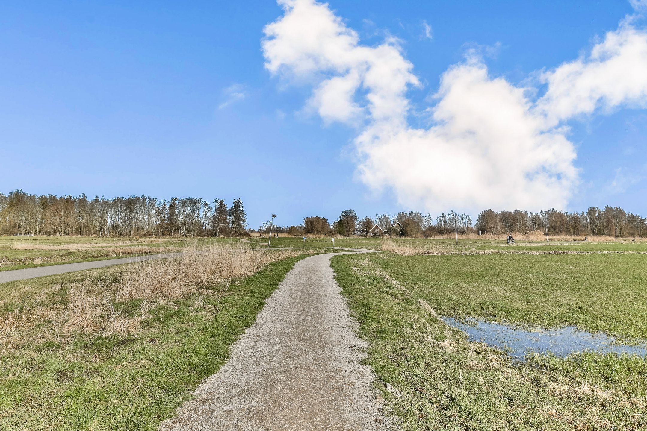 Photo 21 of Platanendreef 6