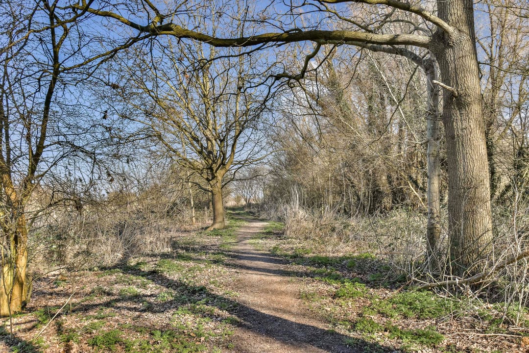 Photo 22 of Platanendreef 6