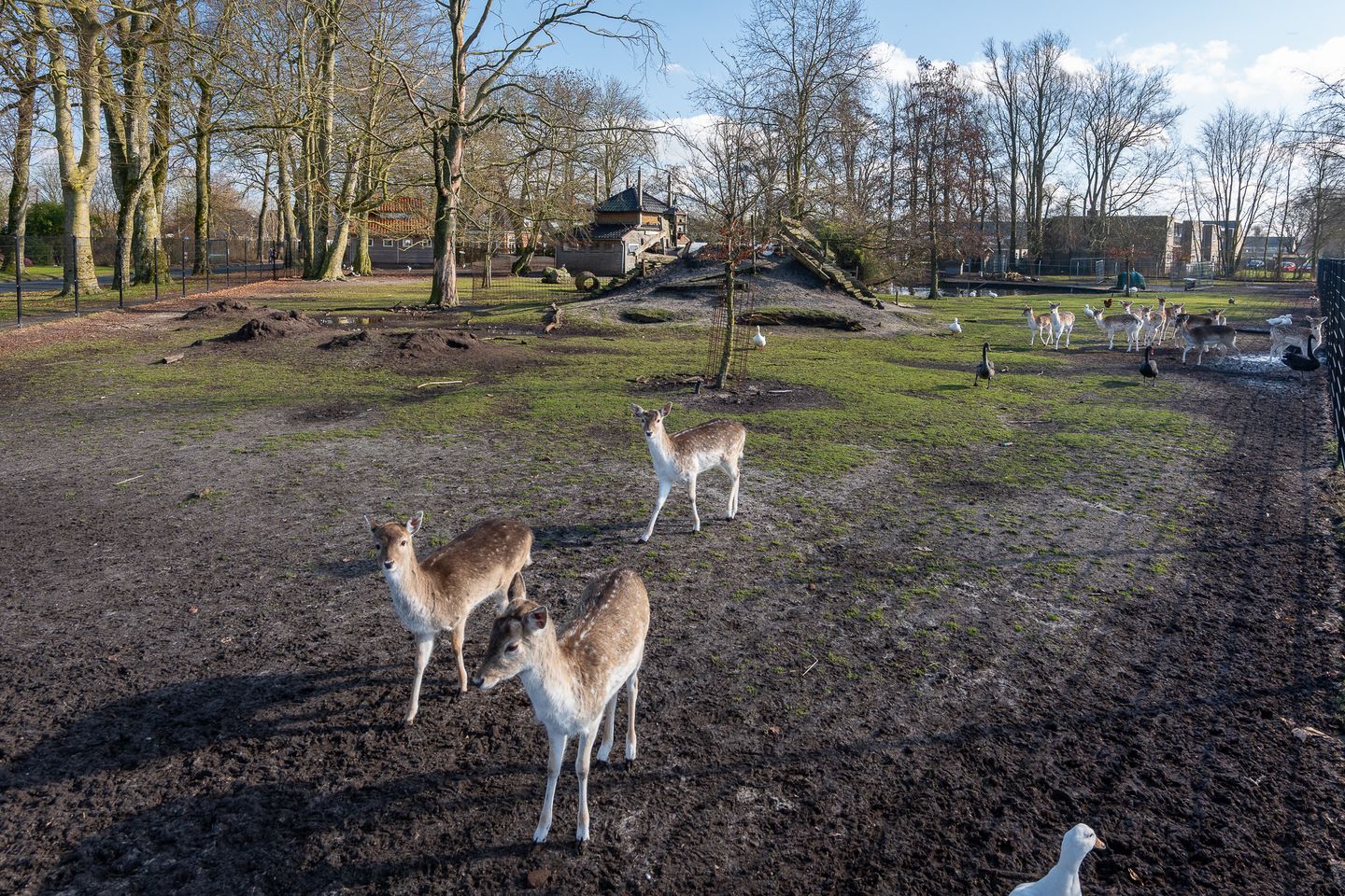 Foto 35 van De Wielewaal 2-C