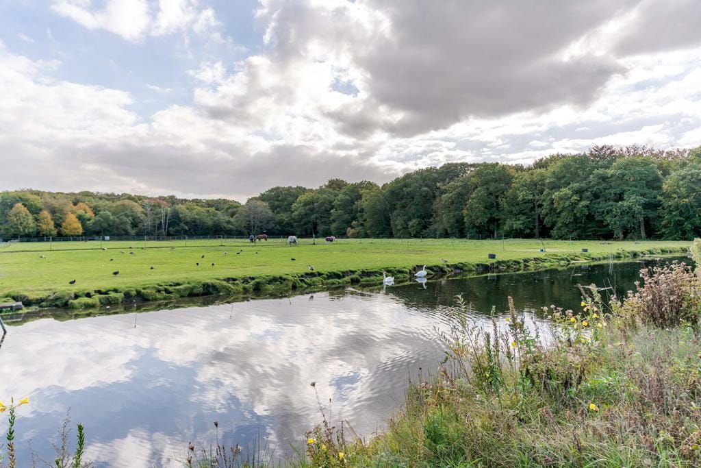 Foto 34 van Burgemeester Schoute Park 32