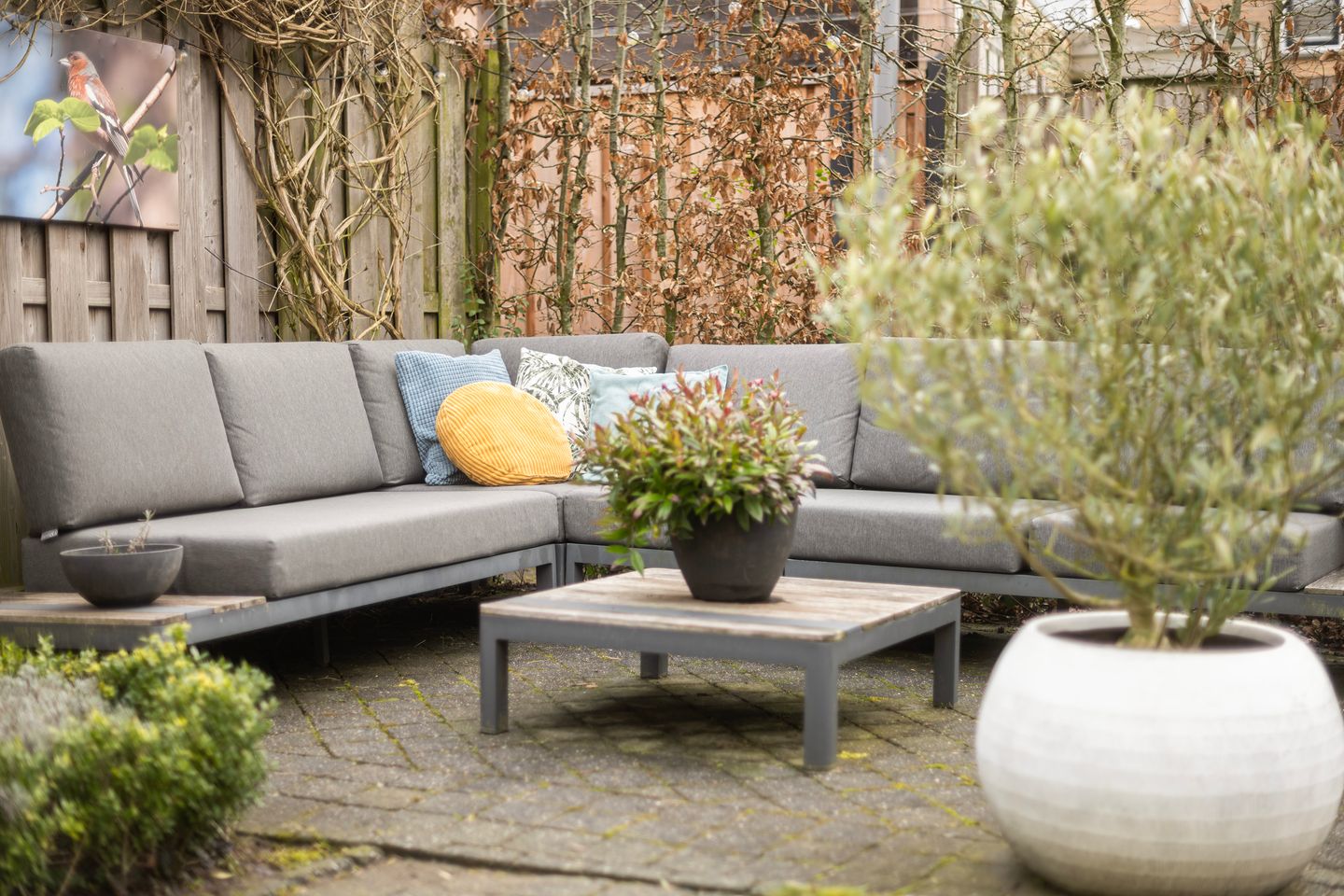 Foto 35 van Steenhouwerstraat 33