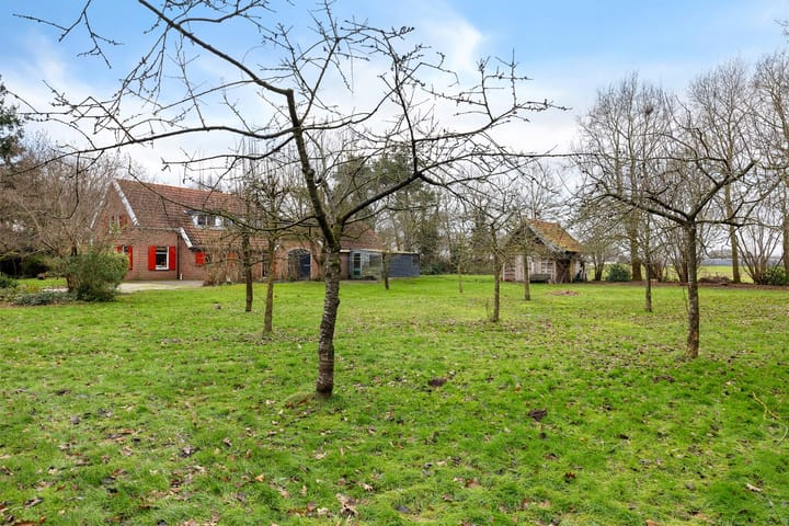 Foto 4 van Wedderstraat 9