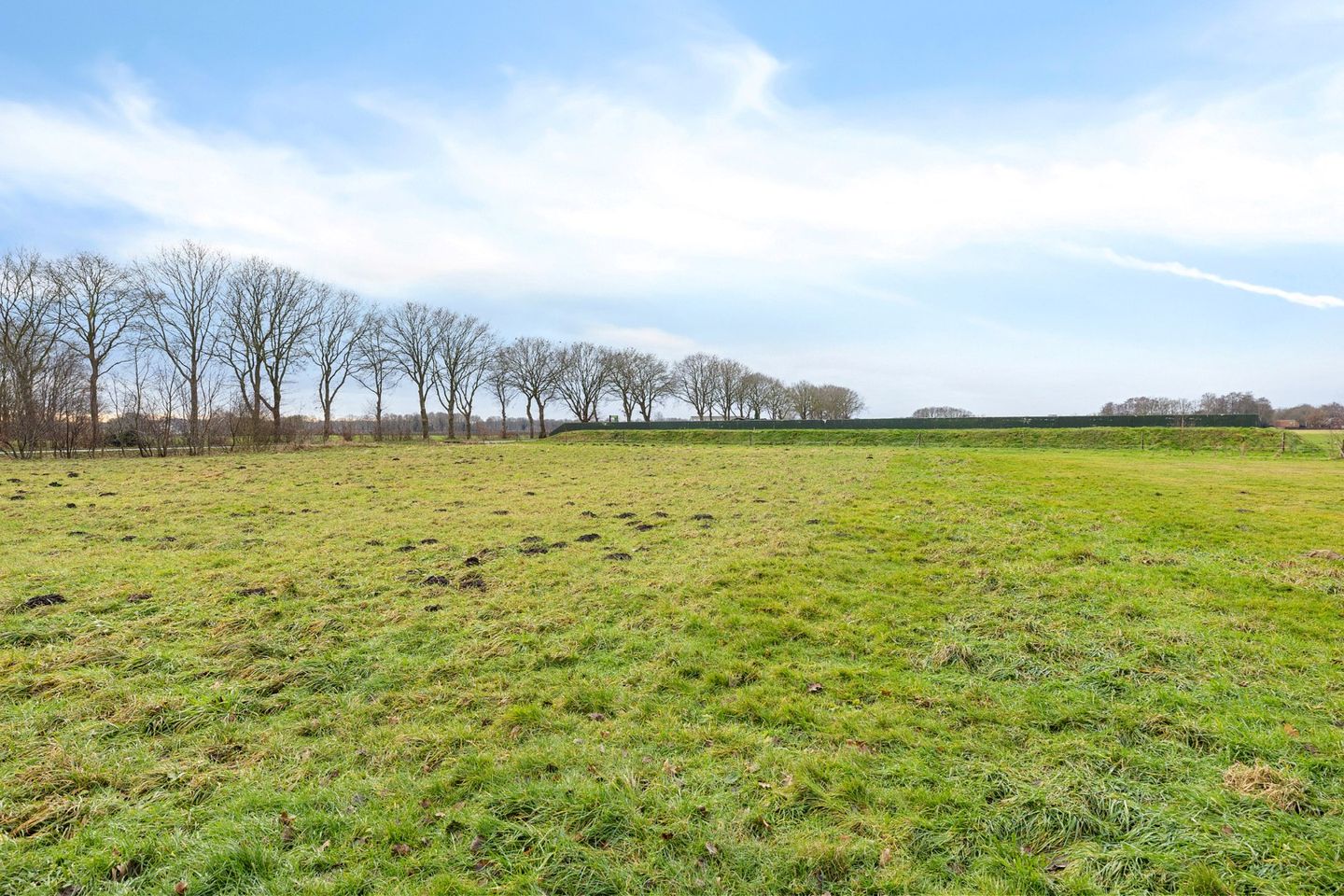 Foto 5 van Wedderstraat 9