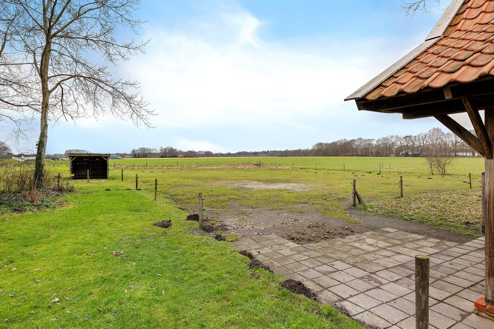 Foto 39 van Wedderstraat 9