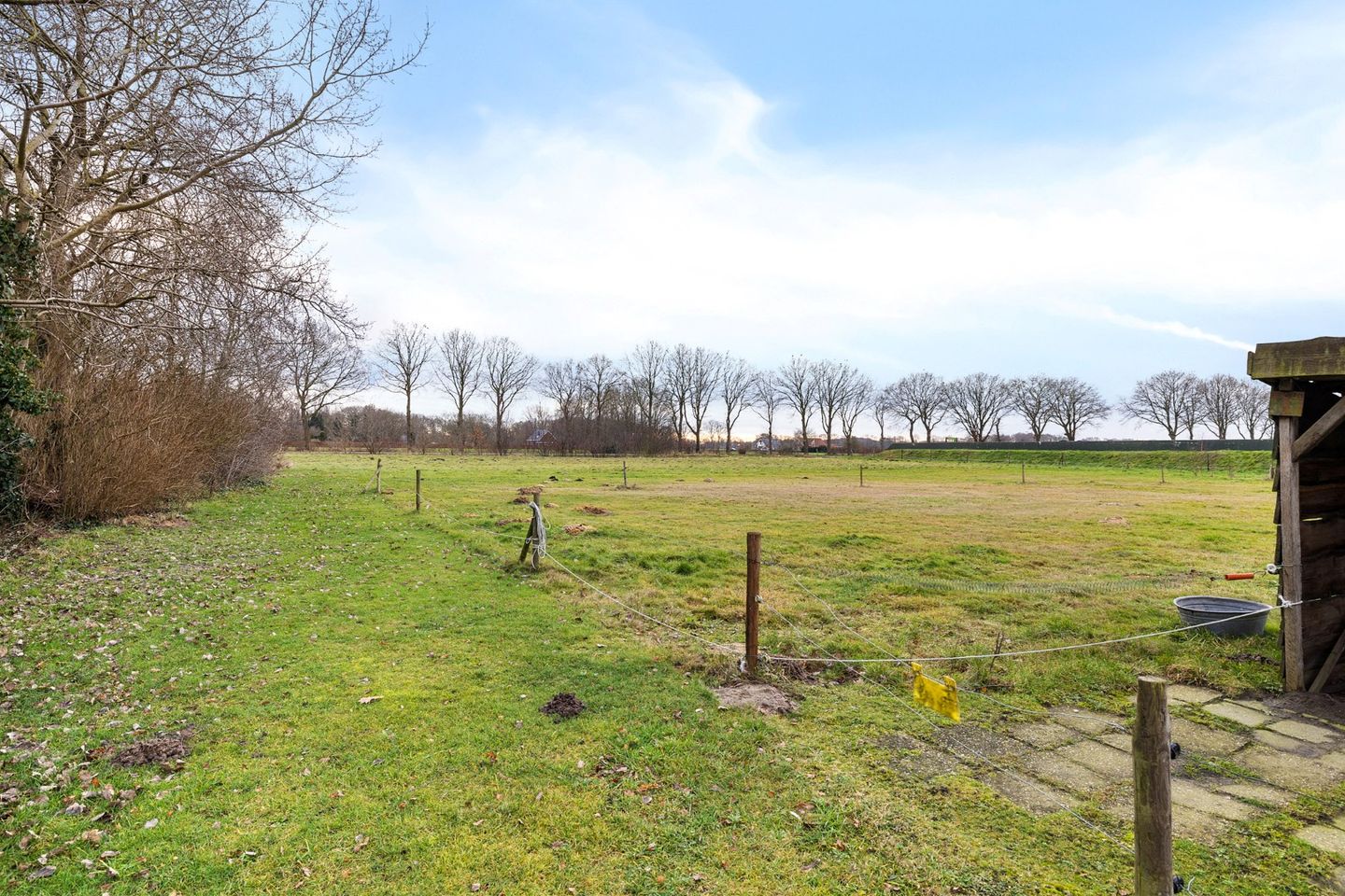 Foto 40 van Wedderstraat 9