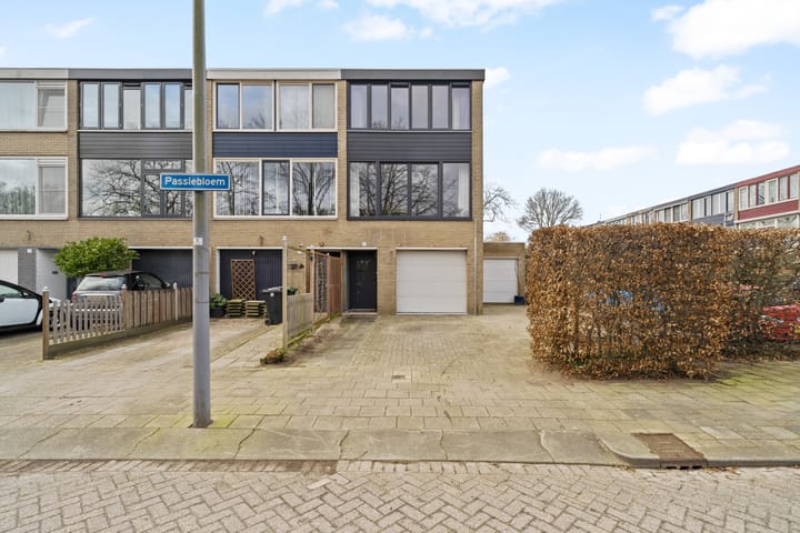 Passiebloem 9 main image