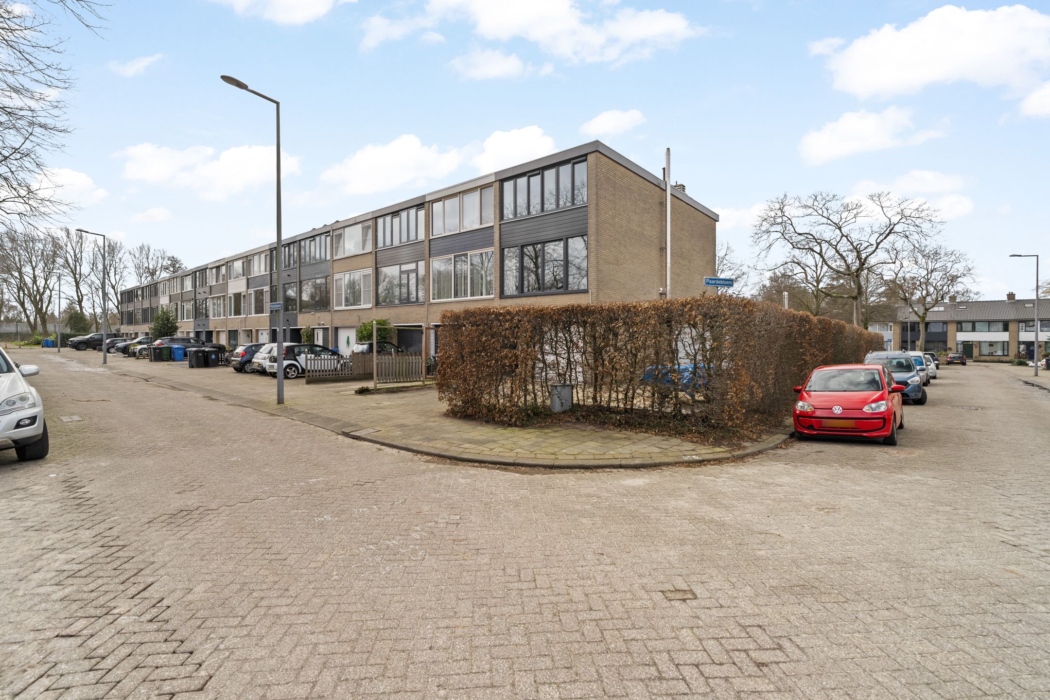 Foto 6 van Passiebloem 9